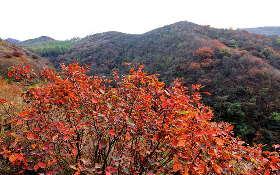 新密市九里山风光