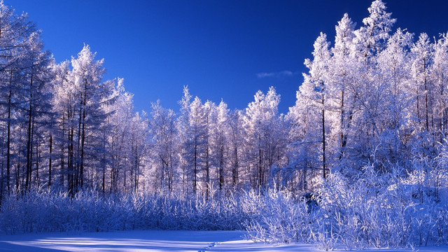 林海雪原