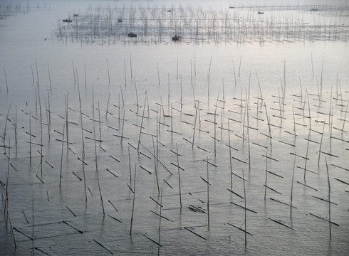 福建霞浦滩涂