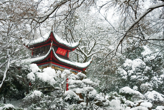 冬天雪景的爱晚亭