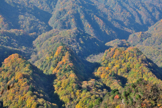 巴中南江香炉山