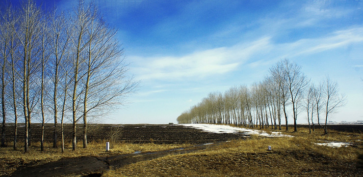 绥化雪景