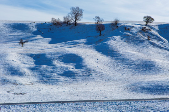 伊犁雪景