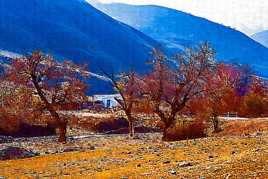 装饰画  自然风景