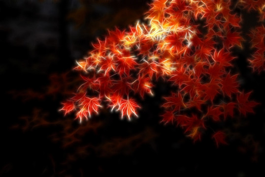 楓葉裝飾畫