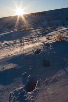 雪地 脚印 太阳 竖片