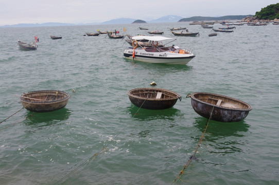 越南海岸