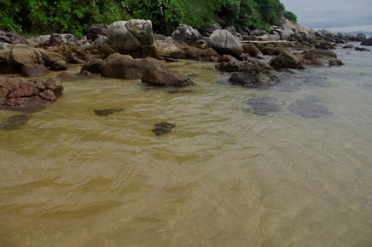 海岸线