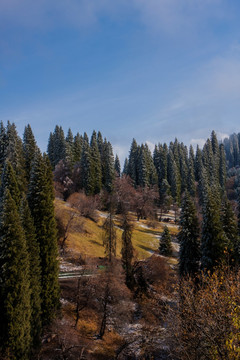 那拉提   秋景