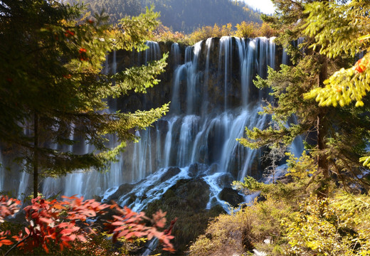 九寨沟诺日朗瀑布秋色