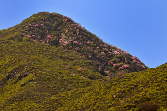 北京山岭春色