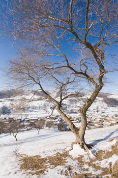 远山 村庄 雪地 竖片