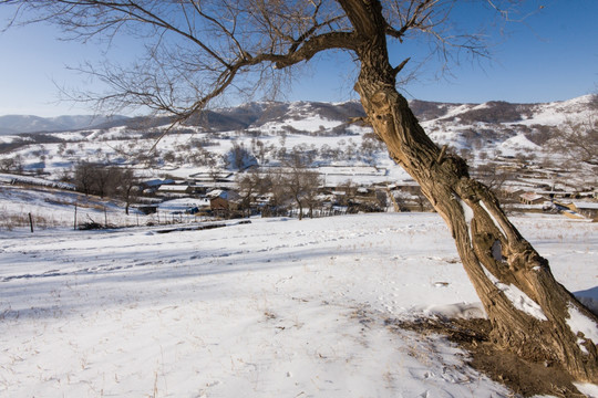 远山 村庄 雪地