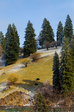 草原秋景