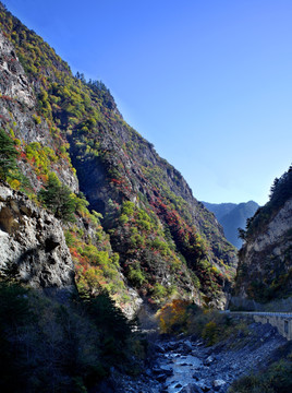 川西红叶风光