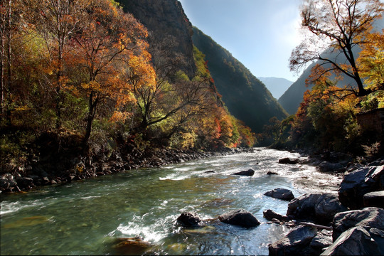 川西红叶风光