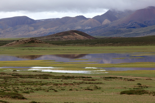 西藏札达一带高山 湿地