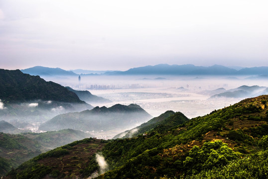 雾饶温州