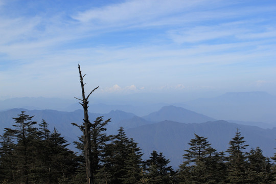 风景