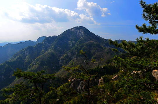 老界岭风光