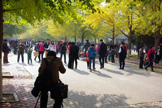 辽宁大学银杏路