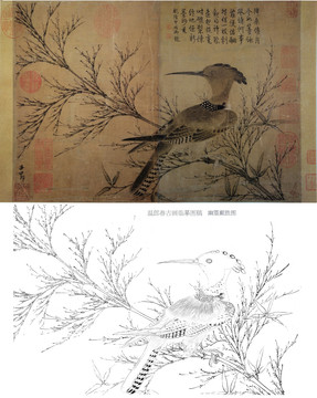國(guó)畫 白描  花鳥(niǎo) 古畫