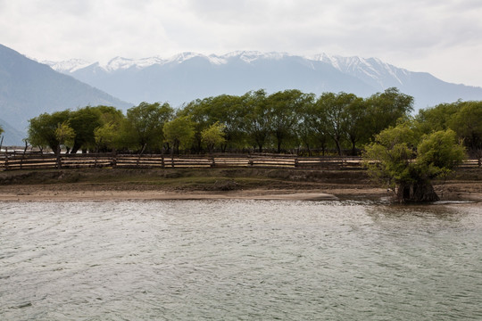 尼洋河风光