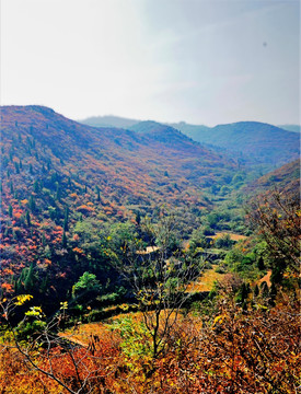 秋色 山川（高清）