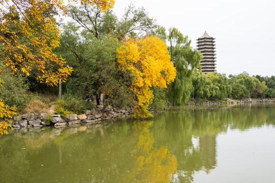 北京大学 校园秋景