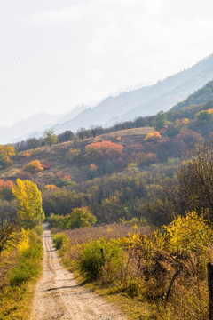 山间小路