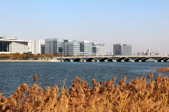 空港经济区