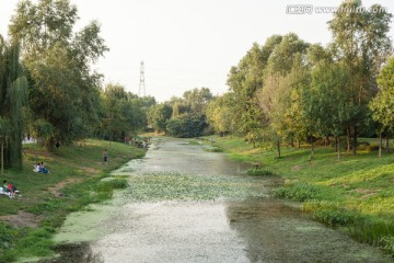 奥林匹克森林公园