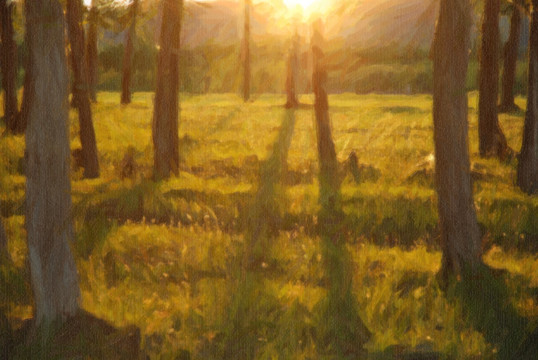 風(fēng)景裝飾畫
