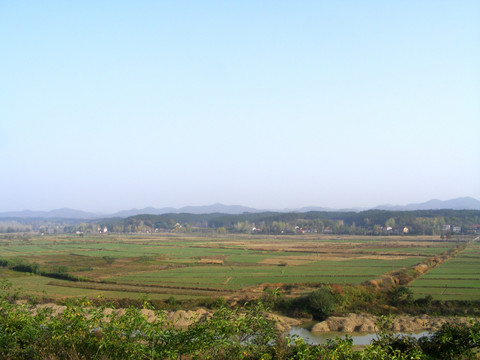 原野