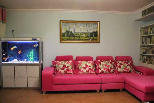 客厅 沙发 鱼缸
