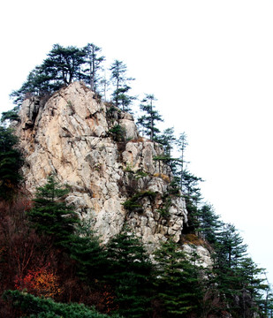 伏牛山老界岭风光