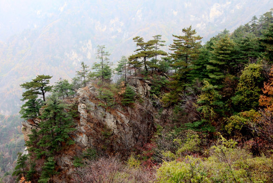 伏牛山老界岭风光