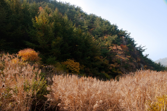 崂山秋韵