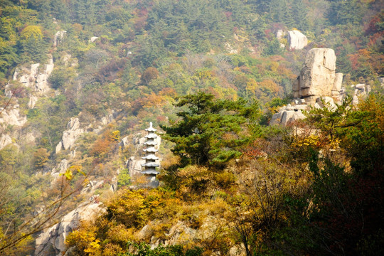 崂山秋韵