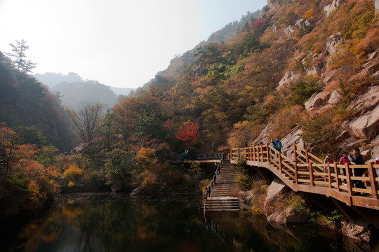 崂山秋韵