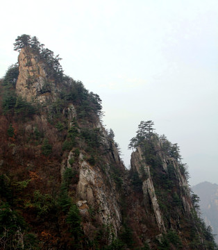 伏牛山老界岭风光