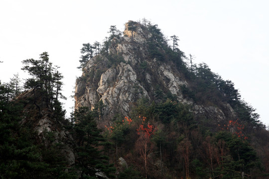 伏牛山老界岭景区风光