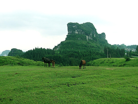 美丽山水风景（非高清）