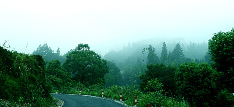 公路 乡村公路