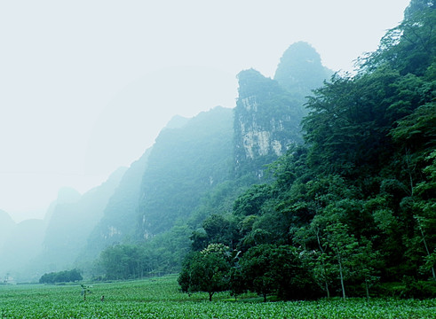 山水风景