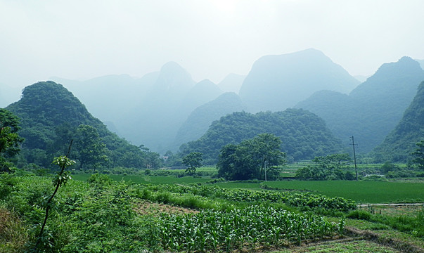 田园风光 田野 远山