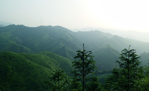 远山 山脉