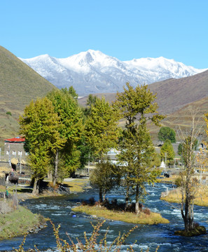 雪山