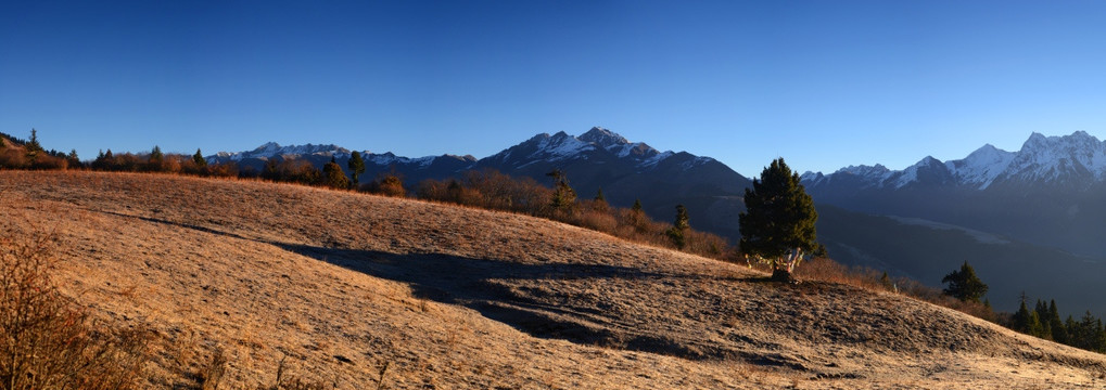 米亚罗斯博果高山草甸全景