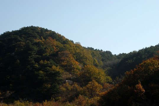 盘山 山脉 植被 秋景